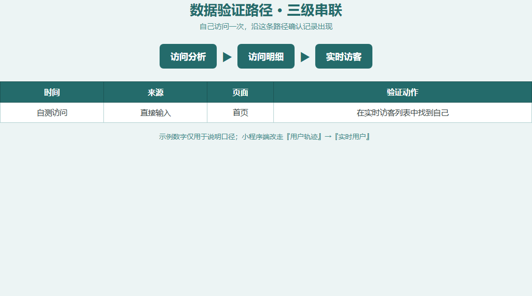数据验证路径可视化:访问分析、访问明细、实时访客三级路径串联,右侧配一行自测访问记录示意
